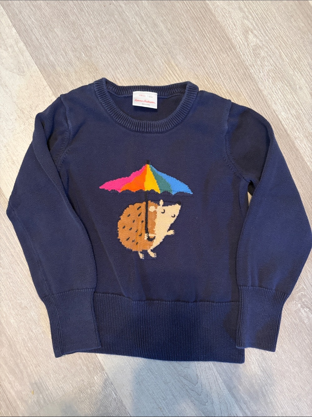 Hanna Andersson crewneck sweater